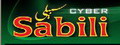 Website-nya Sabili